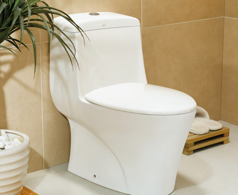 wr110039连体马桶